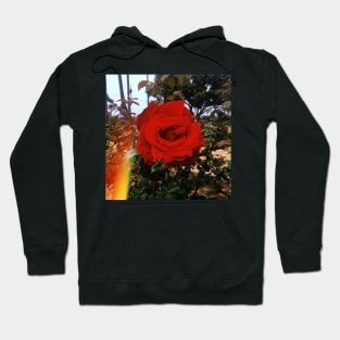 Red Rose. Los Angeles Hoodie